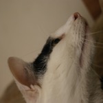 Mister Concentration